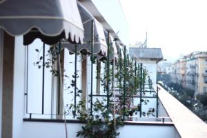 Stelle Hotel The Businest