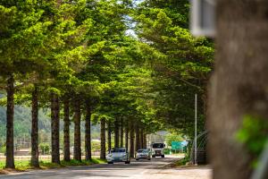 오대산 달빛펜션 Odaesan Moonlight Pension