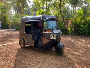 Golden Peacock Resort PVT