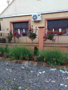 Jelka - 3hvězdičkové hotely ve městě Sremski Karlovci