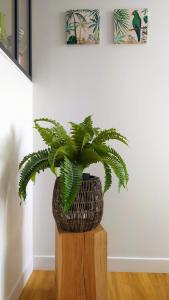 Appartements ☆ T2 hypercentre ✢ plage a 400m ✢ tout equipe ☆ : photos des chambres