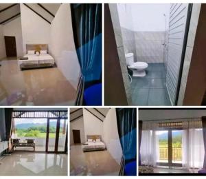 Green soul guest house only book trekking with us