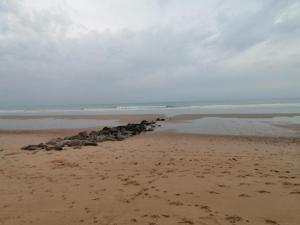 Mobil-home bord de plage à Saint-Hilaire-de-Riez