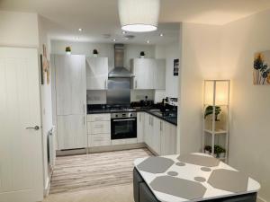 2 Bedroom Luxury Apartment! City Center with Free Parking!