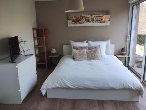 Appartements Charmants studios Le Nid de Lou et Le Cocon de Theo a Rosheim : photos des chambres