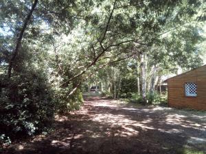 Maisons de vacances Piscine interieure Spa privatif, parc arbore 3000 m2, ocean et lac : photos des chambres