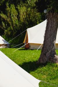 Tentes de luxe Tente Double - Hegoa Surf Camp Pays Basque : photos des chambres