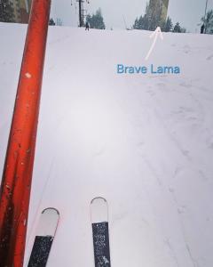 Brave Lama