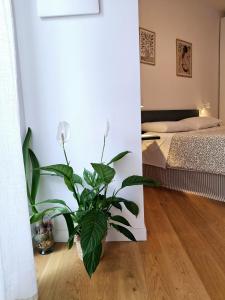 Labicant Casa Vacanze Roma