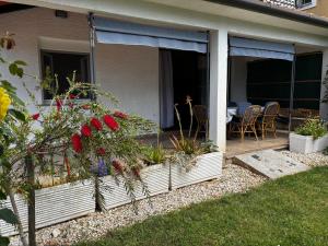 Apartmani Rozi