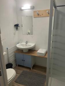 Appartements Studio avec grande terrasse gare Sud : Appartement 1 Chambre