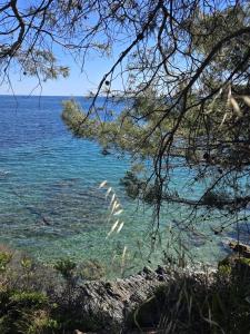 La Croix-Valmer, La ferme, Le Vergeron, entre terre et mer