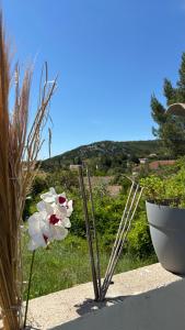 Chambre indépendante avec salle de bain