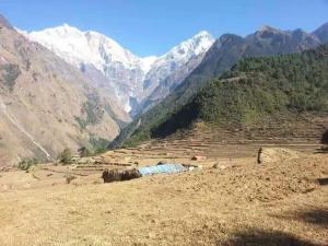 himalayan home stay