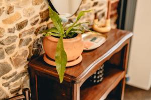 Maisons de vacances Gite Ker Eost - Elegance & charme proche de la mer : photos des chambres