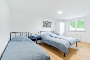 Apartment SočaFly