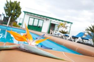 Villas Costa Papagayo