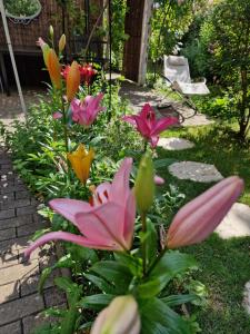 Ferienwohnung Domschatz