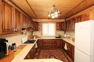 Ластівчине гніздо