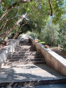 Ivos garden prostran stan u blizini starog grada