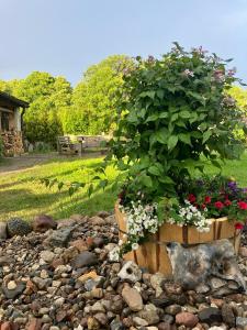 Ferienwohnung Seestraße