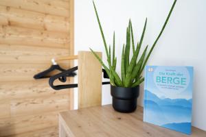 Apart Alpine Retreat