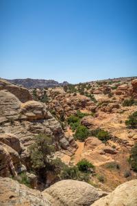 Dana bedouin Sky
