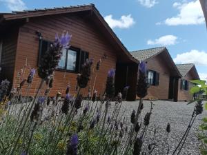 Cabanas Ninho dos Pássaros