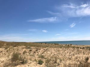 Maisons de vacances La Faute sur Mer Maison de famille 20M des plages : photos des chambres