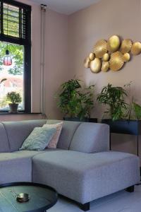 Vakantiehuisje De Barones