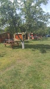 CABANE Nadejda SPERANTA