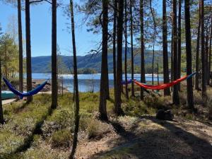 Sinesøyni in Byglandsfjord - Evje