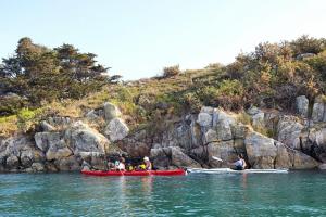 Appartements Studio LeBon Port de Vannes : photos des chambres