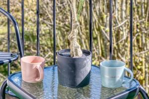 Appartements Studio LeBon Port de Vannes : photos des chambres