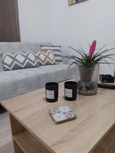 Elenas country house