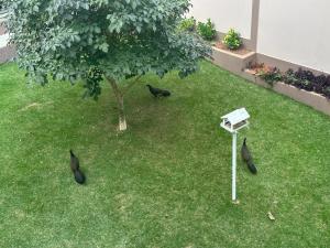 Suítes Grãos do Alto Caparaó