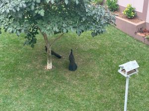 Suítes Grãos do Alto Caparaó