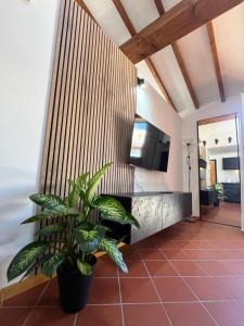 La Dolce Imola-Bilocale in centro storico