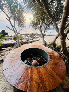 Kactus - Your Island Sanctuary