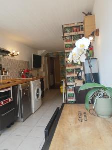 Appartements Studio Athena : photos des chambres