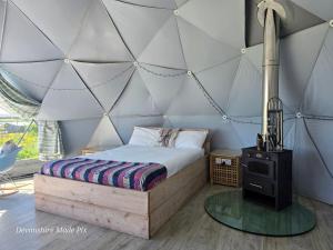 Koa Tree Geodesic Dome