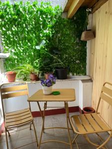 Pension Angelines, Sneuu Hostel Santander