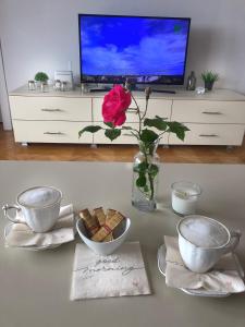 Nadia Apartment Ohrid with lake view