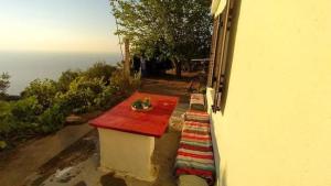 Grannys House