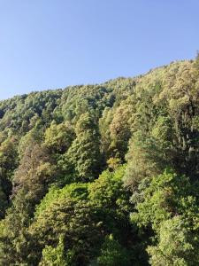 Hotel Paradise Hills Dalhousie