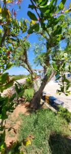 Ville Torre del Pizzo