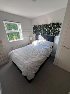 Comfy Ballymoney Base