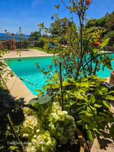 Gîte LAppart de Case Vanille