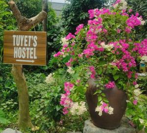Tuyets hostel