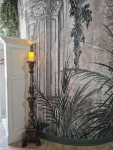 Appartements Meuble de caractere La jeune fille a la perle : photos des chambres